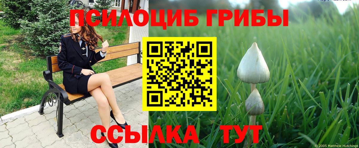 закладки  Галлюциногенные грибы ЛСД  Вход с VPN  Новочебоксарск 